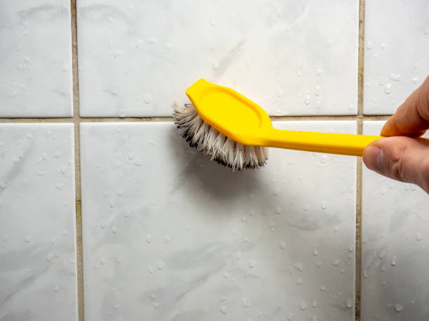 Best Mold Remediation  in Malta, MT
